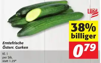 Strasser Markt Erntefrische Österr. Gurken Angebot