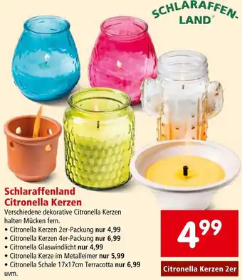 Interspar Schlaraffenland Citronella Kerzen Angebot