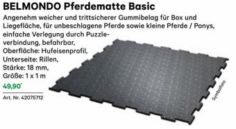 Lagerhaus BELMONDO Pferdematte Basic Angebot