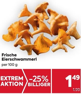 Billa Frische Eierschwammerl per 100 g Angebot