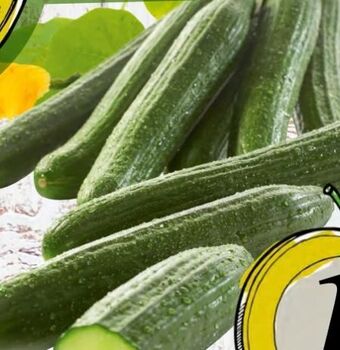 Spar Gurken Angebot