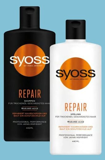 Spar Shampoo Angebot