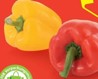 Hofer Paprika Angebot