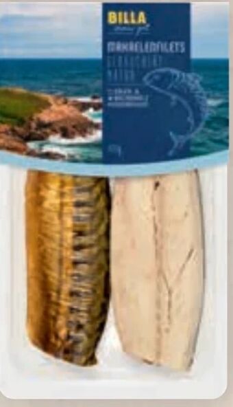 Billa Immer gut makrelenfilets Angebot