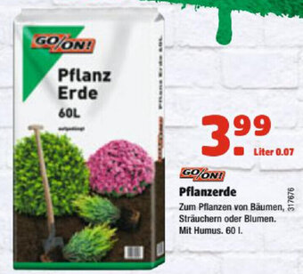 Hagebau Pflanzerde Angebot