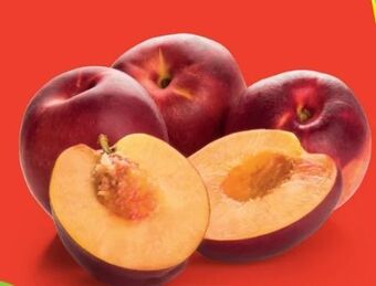 Hofer Nektarinen Angebot