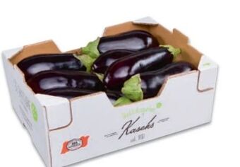 Metro Melanzani Angebot