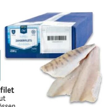Metro Zanderfilet Angebot