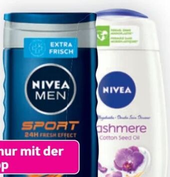 Bipa Dusche Angebot