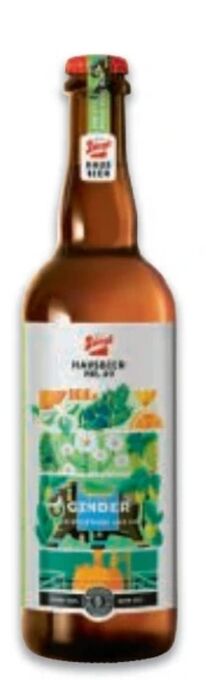 Metro Bio hausbier Angebot