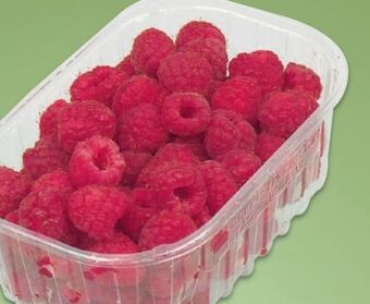 Metro Himbeeren Angebot