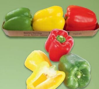 Metro Paprika Angebot