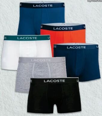 Metro Herren retroshort Angebot