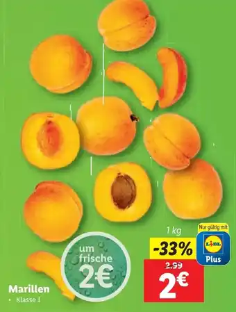 Lidl Marillen 1 kg Angebot