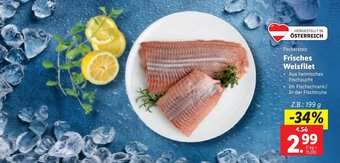 Lidl Fischerstolz Frisches Welsfilet Angebot