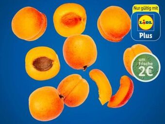 Lidl Marillen Angebot