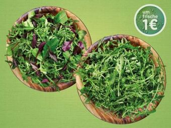 Lidl Mix-salat oder rucola Angebot
