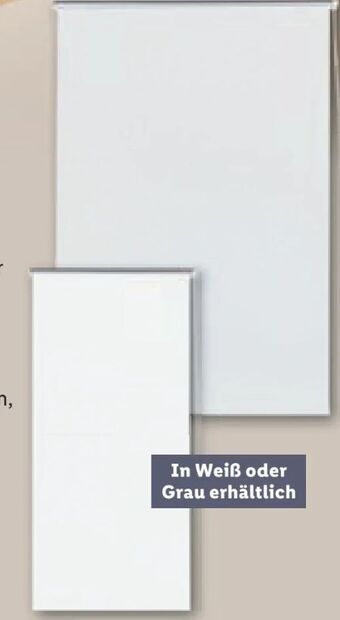 Lidl Thermo rollo Angebot