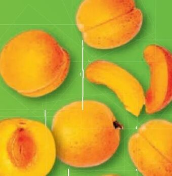 Lidl Marillen Angebot