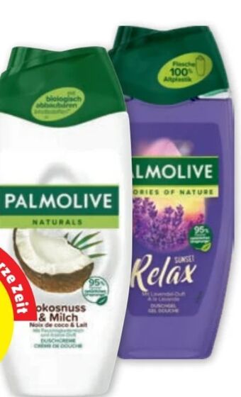 PENNY Duschgel Angebot