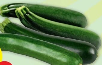 PENNY Zucchini Angebot
