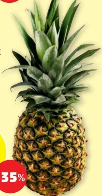 PENNY Ananas Angebot