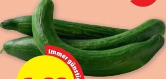PENNY Gurken Angebot