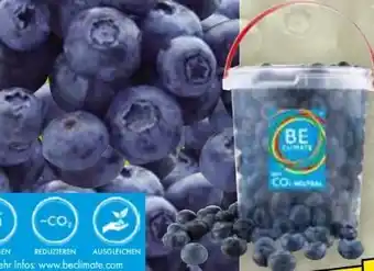 Norma Heidelbeeren Angebot