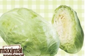Maximarkt Braunschweiger kraut Angebot