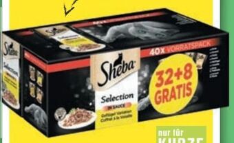 Maximarkt Geflügel maxipack Angebot