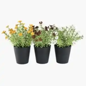 JYSK Kunstblume kalle u00d813xh16cm div. Angebot