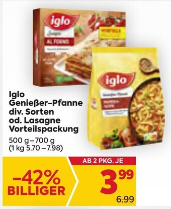 Billa Iglo Genießer-Pfanne div. Sorten od. Lasagne Vorteilspackung 500 g- 700 g Angebot