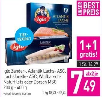 Sutterlüty Iglo Zander-, Atlantik Lachs- ASC, Lachsforelle- ASC, Wolfbarsch-Naturfilets oder Dorsch MSC 200 g- 400 g Angebot