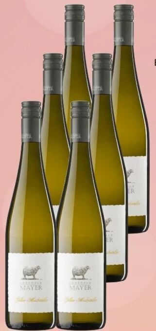 Interspar Gelber muskateller Angebot