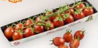 Billa Cherrytomaten fruchtige frieda Angebot