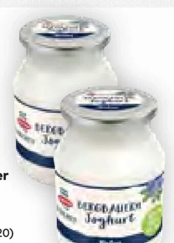 Billa Berghof joghurt Angebot