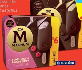 Hofer Magnum Angebot