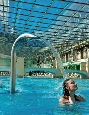 Hofer Niederösterreich baden bei wien Angebot