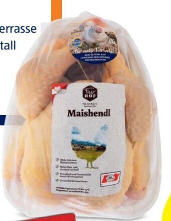 Hofer Hendl bratfertig Angebot