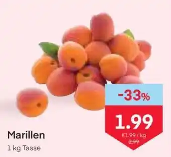 MPreis Marillen 1 kg Tasse Angebot