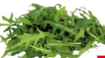 Transgourmet Rucola Angebot