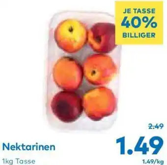 T&G Nektarinen 1kg Tasse Angebot