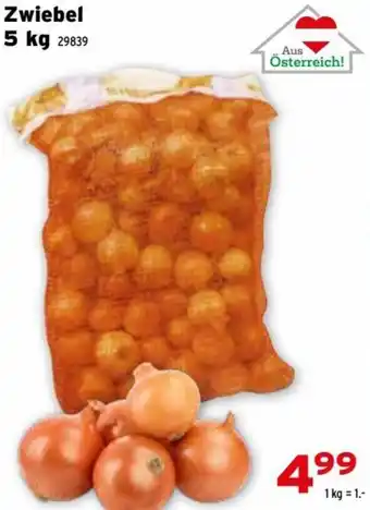 Zwiebel 5 kg 29839