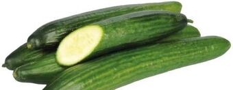 Transgourmet Gurken Angebot