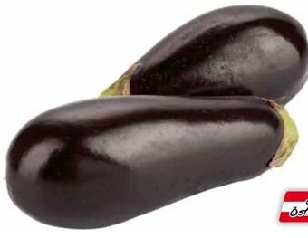 Transgourmet Melanzani Angebot