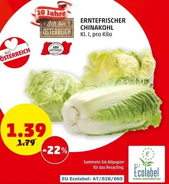 PENNY Erntefrischer Chinakohl Angebot