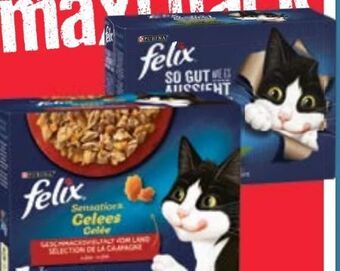 Maximarkt Felix katzennahrung Angebot