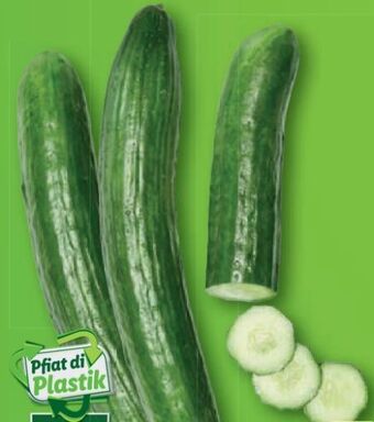 Lidl Gurken Angebot