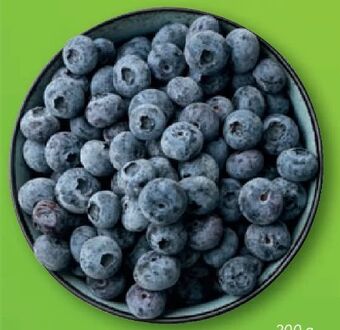 Lidl Heidelbeeren Angebot