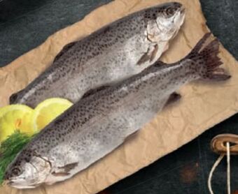 Lidl Forelle Angebot